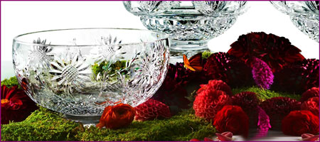 Flora and Fauna Collection