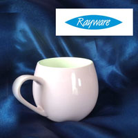 RAYWARE по специальной цене